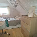 Sentrumsnaer Stor Leilighet